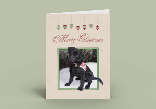 Custom Designed Greeting Card, 5 x 7 inch Greeting Card, Custom Designed Christmas Card