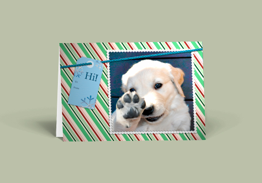 Custom Designed Greeting Card, 5 x 7 inch Greeting Card, Custom Designed Holiday Card with Cute Puppy