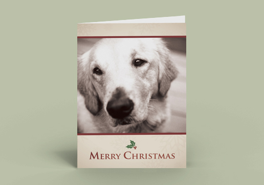 Custom Designed Greeting Card, 5 x 7 inch Greeting Card, Custom Designed Christmas Card with Cute Puppy
