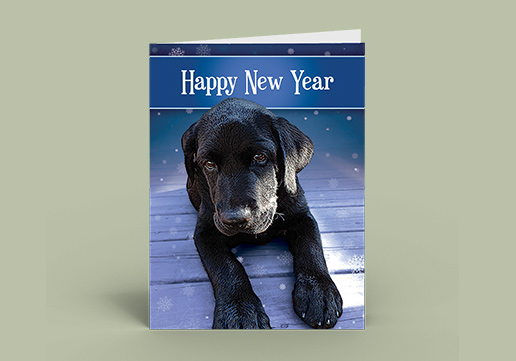 Custom Designed Greeting Card, 5 x 7 inch Greeting Card, Custom Designed Happy New Year Card with Cute Puppy
